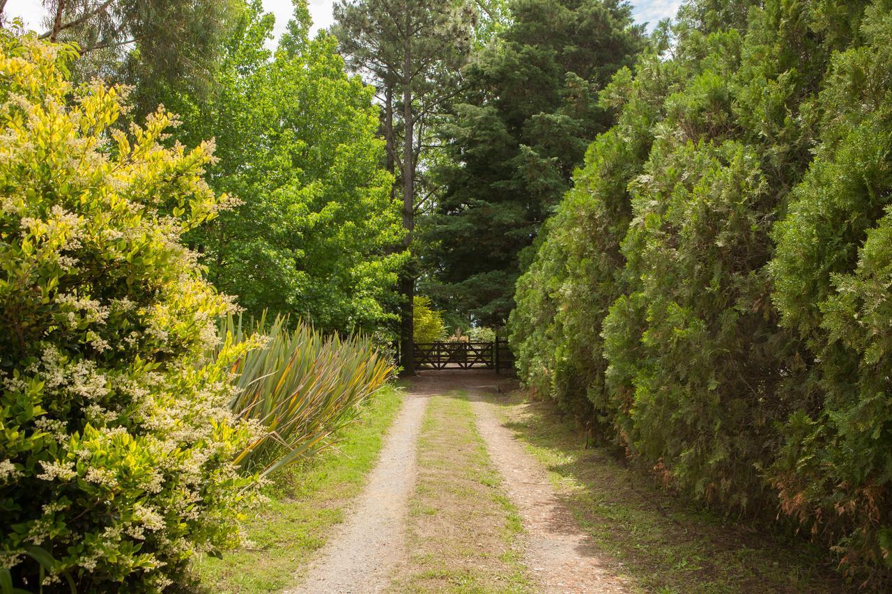 La Chacra - Hotel De Campo & Spa San Pedro  Exteriér fotografie
